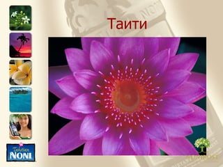 Таити 