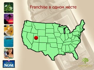 Franchise  в одном месте 