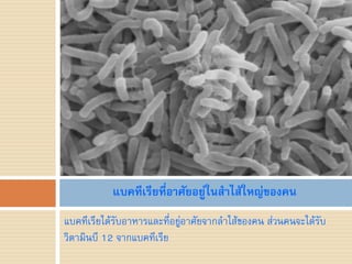 แบคทีเรียที่อาศัยอยู่ในสาไส้ใหญ่ของคน
แบคทีเรียได้รับอาหารและที่อยูอาศัยจากล้าไส้ของคน ส่วนคนจะได้รับ
                             ่
วิตามินบี 12 จากแบคทีเรีย
 