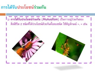 การได้รับประโยชน์ร่วมกัน

      การได้รับประโยชน์ร่วมกัน (Mutualism) เป็นการอยู่รวมกันของ  ่
       สิ่งมีชีวิต 2 ชนิดทีได้ประโยชน์ด้วยกันทั้งสองชนิด ใช้สัญลักษณ์ +, + เช่น
                           ่
 