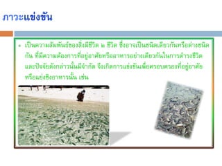 ภาวะแข่งขัน
    เป็นความสัมพันธ์ของสิ่งมีชีวิต ๒ ชีวิต ซึงอาจเป็นชนิดเดียวกันหรือต่างชนิด
                                             ่
    กัน ที่มีความต้องการทีอยู่อาศัยหรืออาหารอย่างเดียวกันในการด้ารงชีวิต
                          ่
    และปัจจัยดังกล่าวนั้นมีจ้ากัด จึงเกิดการแข่งขันเพื่อครอบครองที่อยู่อาศัย
    หรือแย่งชิงอาหารนั้น เช่น
 