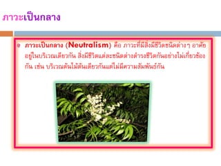 ภาวะเป็นกลาง
    ภาวะเป็นกลาง (Neutralism) คือ ภาวะที่มีสิ่งมีชีวิตชนิดต่างๆ อาศัย
    อยู่ในบริเวณเดียวกัน สิ่งมีชีวิตแต่ละชนิดต่างด้ารงชีวิตกันอย่างไม่เกี่ยวข้อง
    กัน เช่น บริเวณต้นไม้ตนเดียวกันแต่ไม่มีความสัมพันธ์กัน
                            ้
 