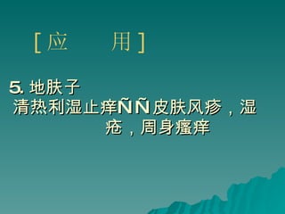 5. 地肤子 清热利湿止痒——皮肤风疹，湿 疮，周身瘙痒 [ 应  用 ] 