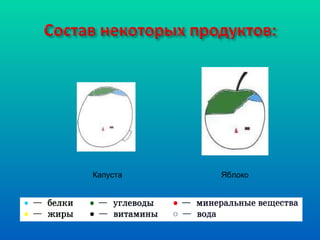 Капуста Яблоко 