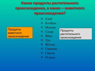 Хлеб Колбаса Молоко Сахар Яйцо Лук Яблоко Свинина Свекла Огурец  Продукты животного происхождения Продукты растительного происхождения 