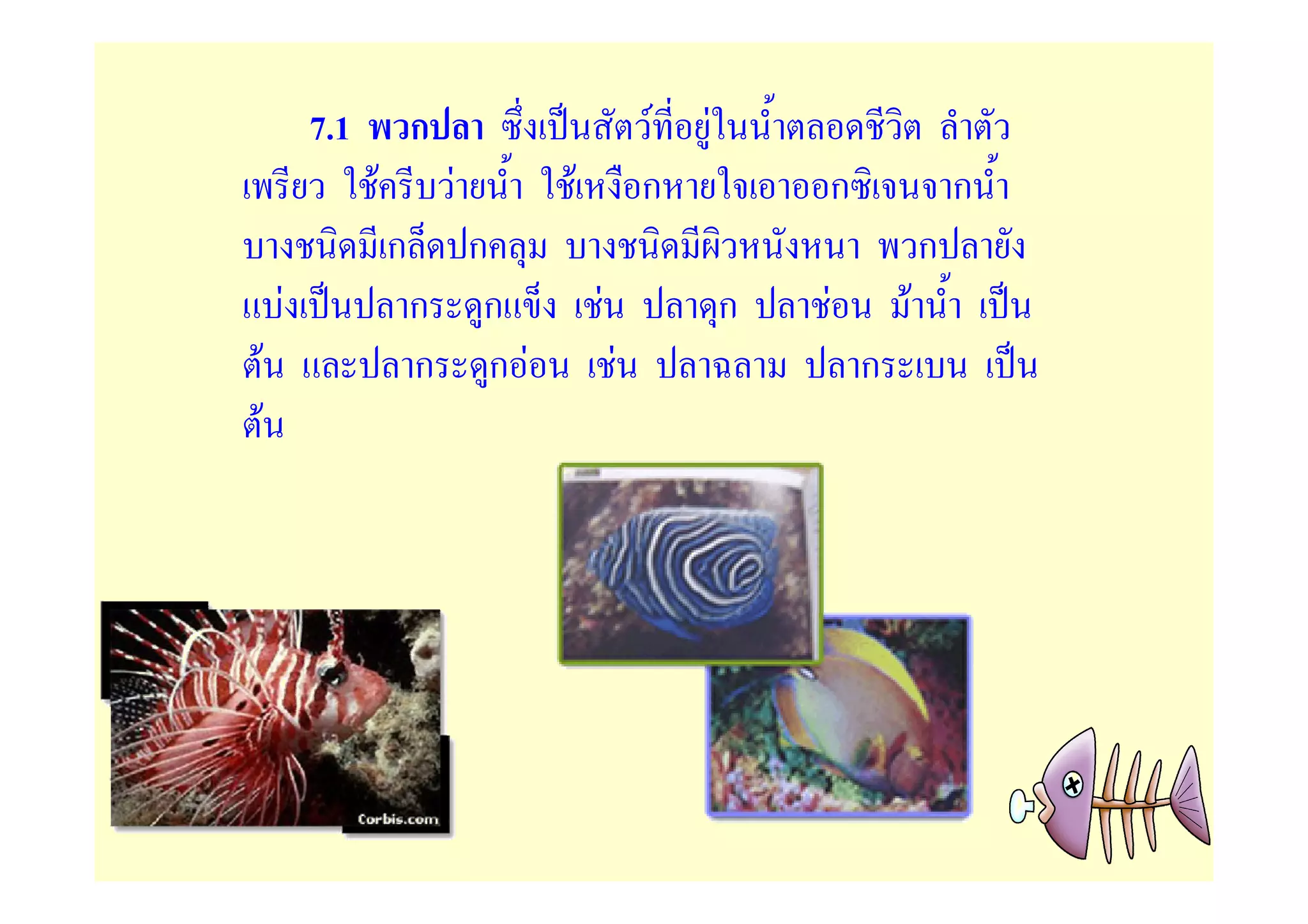 7.1           ก                   F F
                  F           F   F           ก         ก               ก
                      ก     ก                                       ก
        F                 ก ก         F             ก   F       F
    F                     ก กF            F                 ก
F
 