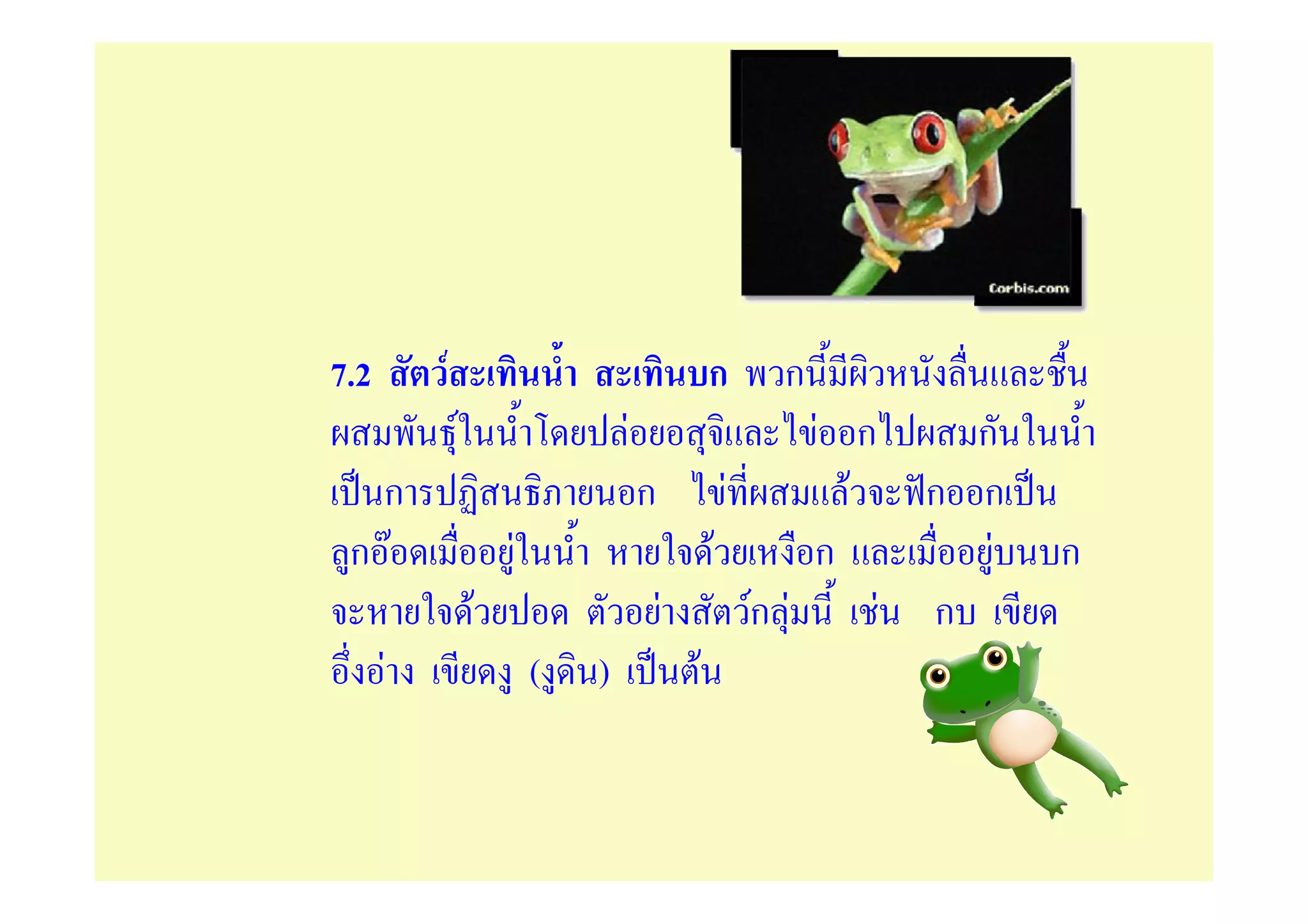 7.2       F                                       ก   ก
              F                   F                        F ก     ก
  ก                                   ก             F        F   ก ก
 กF                   F                           F        ก        F   ก
                  F                       F           Fก F     F ก
      F                   (   )               F
 