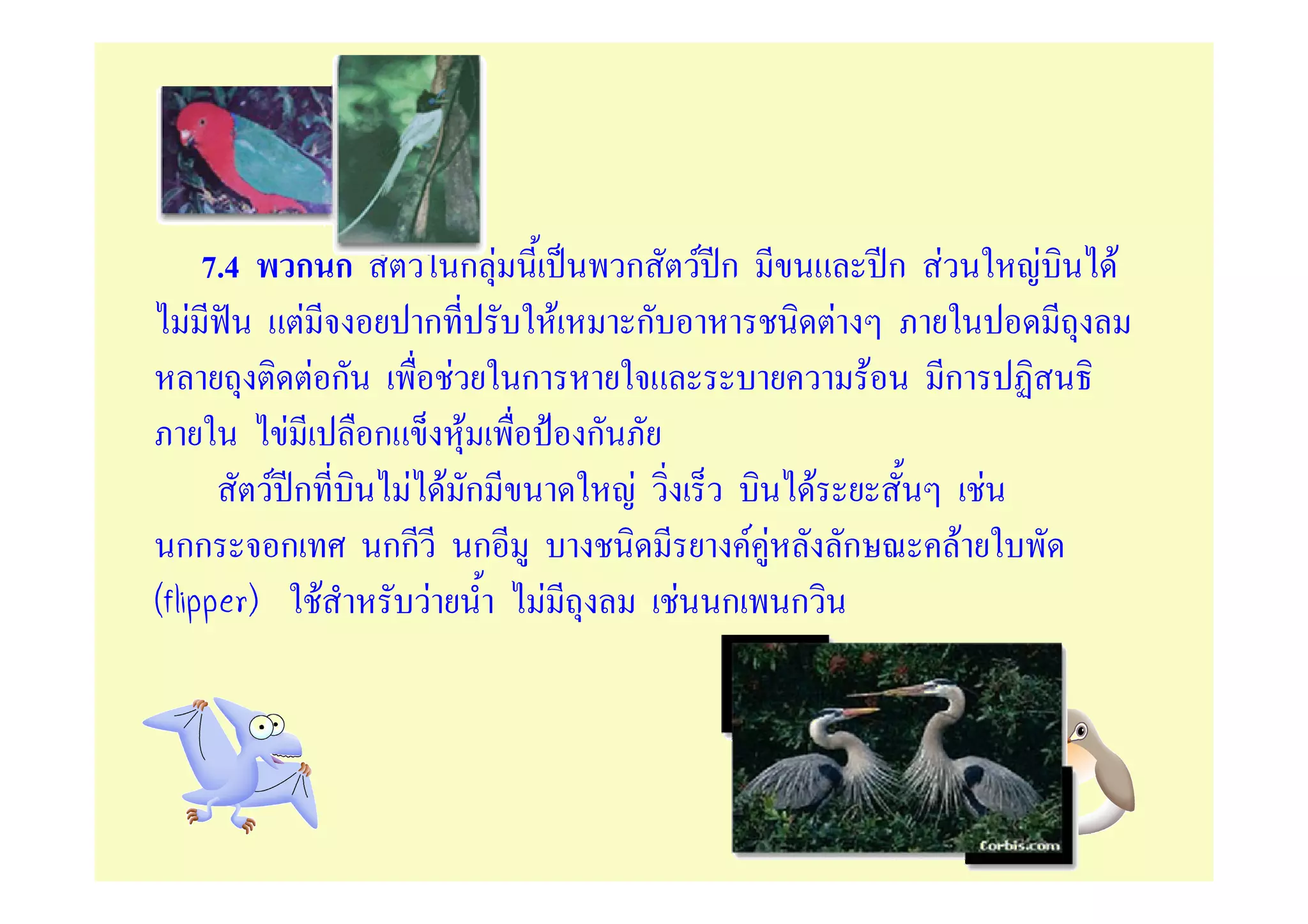 7.4        ก ก        F กF         ก F ก              ก F        F   F
   F               F         ก        F      ก         F
                     Fก         F ก                        F     ก
              F           ก      F      ก
             F ก            F F ก          F         F              F
  กก          ก           กก ก                    FF     ก        F
(flipper)           F         F     F          F ก ก
 