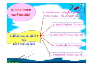 ก
                               1.      ก                        ก
              F                (Monera kingdom            kingdom Bacteria)
                                                                  Bacteria)

                                           2.        ก             ((Protista)
                                                                     Protista)
                                                                     Protista


             FกF          F5          3.         ก         ((Fungi kingdom)
                                                             Fungi kingdom)
    กF
5        ก         F กF                    4.        ก      ((Plant kingdom)
                                                              Plant kingdom)

                                      5.         ก       F ((Animal kingdom)
                                                             Animal kingdom)
 