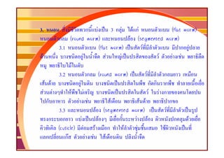 3.                           ก F                 3 ก F F กF                   (flat worm)
        ก (round worm)                                   F (segmented worm)
        3.1                          (flat worm)                F                  ก F
 F                      F                  F         F                 F       F F
                 F
        3.2                  ก (round worm)                       F      ก
    F F             F                                               ก ก ก
   F F         F          F                                         F F ก
     ก             F F                         F              F F            ก
        3.3                       F (segmented worm)                       F
      ก   ก           F            F                ก      F F                  ก     F
        (cuticle) F             F            ก         F    F            F
     ก     กF               F F          F
 
