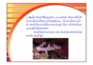 1.                      F       ก ก                   F   F
  F             ก               F FF           F กF
      F             F             ก        ก
          ก F
                            F          F       ก
          ก
 