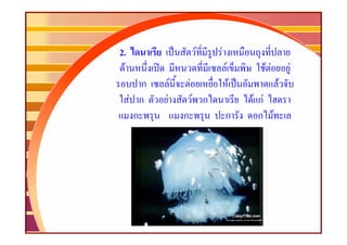 2.                          F     F
 F                                    F          F F       F
        ก       F       F                 F            F
     F ก    F               F ก               F กF
      ก             ก                 ก         ก F
 