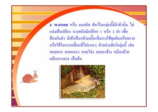 4.            ก                       F กF                    F
     F            F                  ก1        2
         ก            F       กF             F
              F ก                        F       กF
                                                 F        F
               ก                   F       F       กก F
         กก               F
 