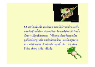 7.2       F                                       ก   ก
              F                   F                        F ก     ก
  ก                                   ก             F        F   ก ก
 กF                   F                           F        ก        F   ก
                  F                       F           Fก F     F ก
      F                   (   )               F
 