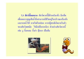 7.3        F                        F ก                     F    ก
       ก                                            F                 F F
                   F              F         ก               ก
           F                  F         ก               F           F ก
F                      ก กF           กก
                                      F         F
 