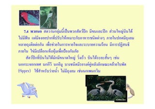 7.4        ก ก        F กF         ก F ก              ก F        F   F
   F               F         ก        F      ก         F
                     Fก         F ก                        F     ก
              F           ก      F      ก
             F ก            F F ก          F         F              F
  กก          ก           กก ก                    FF     ก        F
(flipper)           F         F     F          F ก ก
 