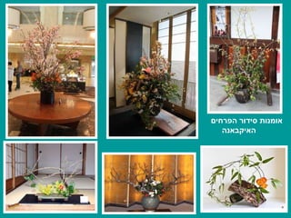 אומנות סידור הפרחים   האיקבאנה 