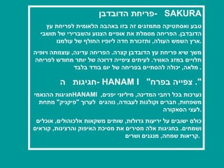 פריחת הדובדבן  -  SAKURA טבע ואסתטיקה מתמזגים זה בזו באהבה הלאומית לפריחת עץ הדובדבן .  הפריחה מסמלת את אופיים הצנוע והשברירי של תושבי ארץ השמש העולה ,  ותזכורת חדה ליופיו החולף של עולמנו . משך שיא פריחת עץ הדובדבן קצרה .  הפריחה עדינה ,  עוצמתה ויופיה תלויים במזג האוויר .  לעיתים ציפייה דרוכה של יותר מחודש לפריחה מלאה ,  יכולה להסתיים בפריחה של יום בודד בלבד .  חגיגות  ה  -  HANAM I   &quot; צפייה בפרח &quot;.  חגיגות ההנאמי  HANAMI  נערכות בכל רחבי המדינה ,  מיליוני יפנים ,  משפחות ,  חברים וקולגות לעבודה ,  נוהגים  לערוך  &quot; פיקניק &quot;  מתחת לעצי הסאקורה . כולם ישובים על יריעות גדולות ,  שותים משקאות אלכוהולים ,  אוכלים ושמחים .  בחגיגות אלה מסירים את מסיכת האיפוק והרצינות ,  קוראים קריאות שמחה ,  מנגנים ושרים .   