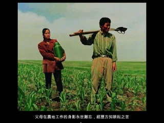 父母在農地工作的身影永世難忘，經歷方知耕耘之苦。 