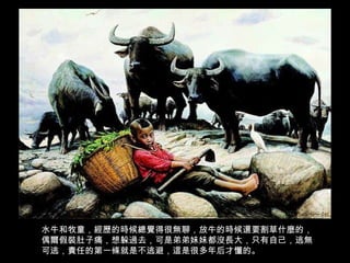 水牛和牧童，經歷的時候總覺得很無聊，放牛的時候還要割草什麼的，偶爾假裝肚子痛，想躲過去，可是弟弟妹妹都沒長大，只有自己，逃無可逃，責任的第一條就是不逃避，這是很多年后才懂的 。 