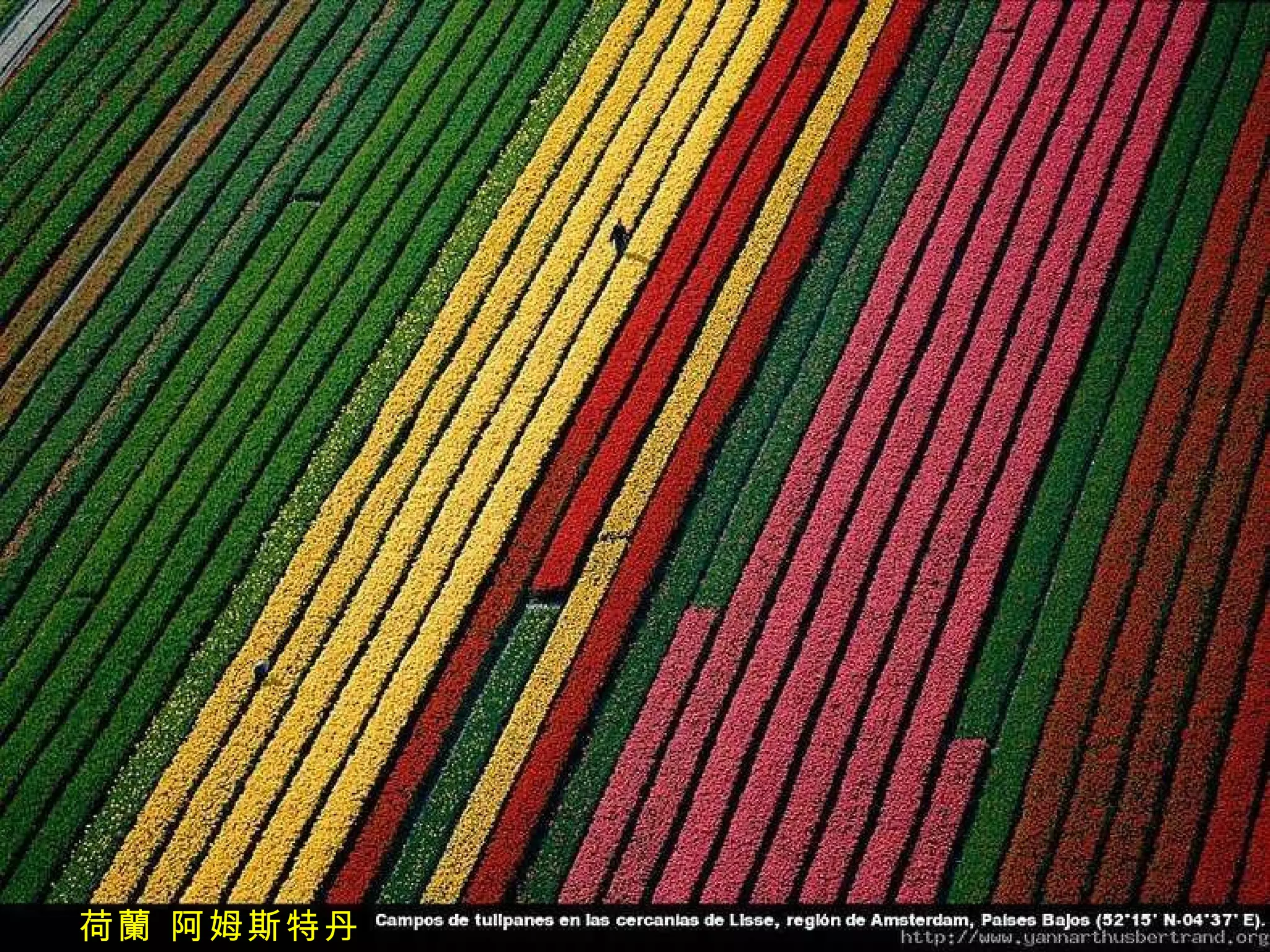 荷蘭 阿姆斯特丹 