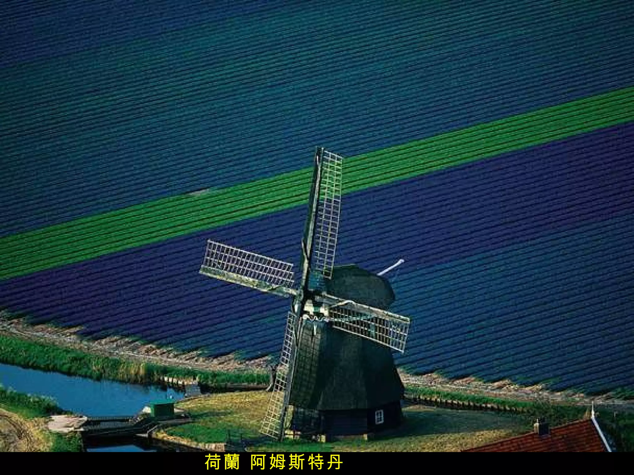 荷蘭 阿姆斯特丹 