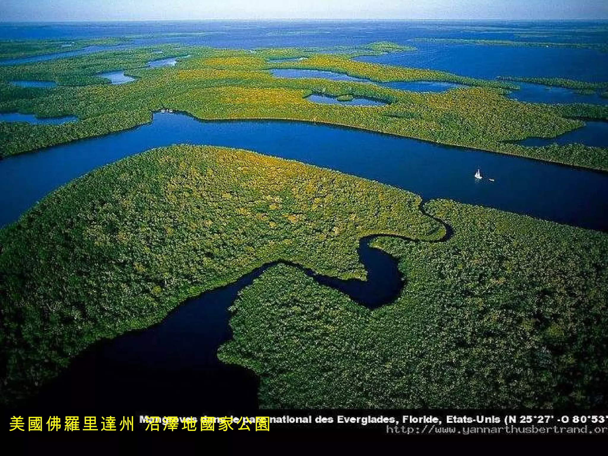 美國佛羅里達州 沼澤地國家公園 
