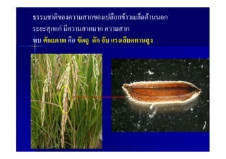 ก     ก F       F   ก
 ก กF   ก ก         ก
ก         ก
 