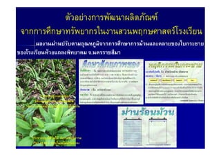 F ก                      F
กก                 ก                               ก                  ก       F
                       F                               กก   ก ก   F               ก
               F                                  .




       ก               กก
     ก             ก               15.42 .
     F     F               F            F ก




ก         ก FF                 F   ก         ก
     15.42 .                           F F
 