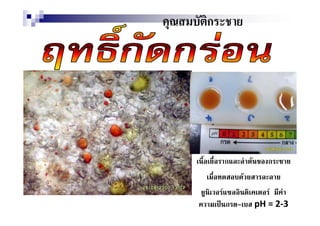 ก




        ก         F      ก
              F
    F                    F F
        ก -           pH = 2-3
 