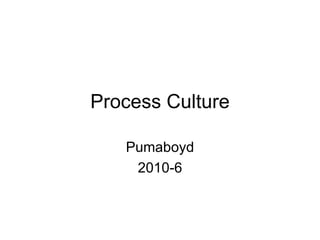 Process Culture Pumaboyd 2010-6 