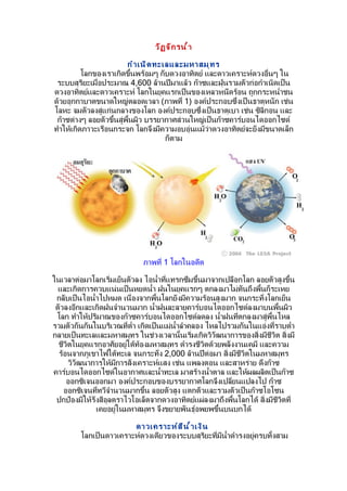 วั ฏ จั ก รนำ ำ ำ

                         กำ ำ เนิ ด ทะเลและมหำสมุ ท ร
          โลกของเรำเกิดขึำนพร้อมๆ กับดวงอำทิตย์ และดำวเครำะห์ดวงอื่นๆ ใน
 ระบบสุริยะเมื่อประมำณ 4,600 ล้ำนปีมำแล้ว ก๊ำซและฝุ่นรวมตัวก่อกำำเนิดเป็น
ดวงอำทิตย์และดำวเครำะห์ โลกในยุคแรกเป็นของเหลวหนืดร้อน ถูกกระหนำ่ำชน
ด้วยอุกกำบำตขนำดใหญ่ตลอดเวลำ (ภำพที่ 1) องค์ประกอบซึ่งเป็นธำตุหนัก เช่น
โลหะ จมตัวลงสู่แก่นกลำงของโลก องค์ประกอบซึ่งเป็นธำตุเบำ เช่น ซิลิกอน และ
 ก๊ำซต่ำงๆ ลอยตัวขึำนสู่พืำนผิว บรรยำกำศส่วนใหญ่เป็นก๊ำซคำร์บอนไดออกไซด์
ทำำให้เกิดภำวะเรือนกระจก โลกจึงมีควำมอบอุ่นแม้วำดวงอำทิตย์จะยังมีขนำดเล็ก
                                                 ่
                                       ก็ตำม




                             ภำพที่ 1 โลกในอดีต

ในเวลำต่อมำโลกเริ่มเย็นตัวลง ไอนำำำที่แทรกซึมขึำนมำจำกเปลือกโลก ลอยตัวสูงขึำน
  และเกิดกำรควบแน่นเป็นหยดนำำำ ฝนในยุคแรกๆ ตกลงมำไม่ทันถึงพืำนก็ระเหย
 กลับเป็นไอนำำำไปหมด เนื่องจำกพืำนโลกยังมีควำมร้อนสูงมำก จนกระทั่งโลกเย็น
 ตัวลงอีกและเกิดฝนจำำนวนมำก นำำำฝนละลำยคำร์บอนไดออกไซด์ลงมำบนพืำนผิว
 โลก ทำำให้ปริมำณของก๊ำซคำร์บอนไดออกไซด์ลดลง นำำำฝนทีตกลงมำสู่พืำนไหล
                                                           ่
รวมตัวกันกันในบริเวณที่ตำ่ำ เกิดเป็นแม่นำำลำำคลอง ไหลไปรวมกันในแอ่งที่รำบตำ่ำ
กลำยเป็นทะเลและมหำสมุทร ในช่วงเวลำนัำนเริ่มเกิดวิวัฒนำกำรของสิ่งมีชีวิต สิ่งมี
  ชีวิตในยุคแรกอำศัยอยู่ใต้ท้องมหำสมุทร ดำำรงชีวตด้วยพลังงำนเคมี และควำม
                                                  ิ
  ร้อนจำกภูเขำไฟใต้ทะเล จนกระทั่ง 2,000 ล้ำนปีต่อมำ สิ่งมีชวิตในมหำสมุทร
                                                             ี
      วิวัฒนำกำรให้มีกำรสังเครำะห์แสง เช่น แพลงตอน และสำหร่ำย ดึงก๊ำซ
คำร์บอนไดออกไซด์ในอำกำศและนำำำทะเล มำสร้ำงนำำำตำล และให้ผลผลิตเป็นก๊ำซ
     ออกซิเจนออกมำ องค์ประกอบของบรรยำกำศโลกจึงเปลี่ยนแปลงไป ก๊ำซ
    ออกซิเจนที่ทวีจำำนวนมำกขึำน ลอยตัวสูง แตกตัวและรวมตัวเป็นก๊ำซโอโซน
 ปกป้องมิให้รังสีอุลตรำไวโอเล็ตจำกดวงอำทิตย์แผ่ลงมำถึงพืำนโลกได้ สิ่งมีชีวิตที่
              เคยอยู่ในมหำสมุทร จึงขยำยพันธุ์อพยพขึำนบนบกได้

                        ดำวเครำะห์ ส ี น ำ ำ เงิ น
         โลกเป็นดำวเครำะห์ดวงเดียวของระบบสุริยะที่มีนำำดำำรงอยู่ครบทัำงสำม
 