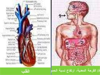 محاضرة الآفات الاجتماعية الظاهرة والعلاج | PPT