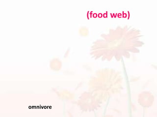 สายใยอาหาร (food web)ระบบ นิเวศจำนวนน้อยที่ประกอบไปด้วยห่วงโซ่อาหารเดี่ยวๆโดยไม่มีสาขาย่อยๆ ผู้บริโภคแรกเริ่มหลายรูปแบบมักจะกินพืชชนิดเดียวกันและผู้บริโภคแรกเริ่ม ชนิดเดียวอาจกินพืชหลายชนิดดังนั้นสาขาย่อยของห่วงโซ่อาหารจึงเกิดขึ้นใน ระดับการกินอื่นๆด้วย ตัวอย่างเช่น กบตัวเต็มวัยซึ่งเป็นผู้บริโภคลำดับสองกินแมลงหลายชนิดซึ่งอาจถูกกินโดยนก หลายชนิด นอกจากนี้แล้ว ผู้บริโภคบางชนิดยังกินอาหารในระดับการกินที่แตกต่างกัน นกฮูกกินหนูซึ่งเป็นผู้บริโภคแรกเริ่มที่กินสัตว์ไม่มีกระดูกสันหลังบางชนิด แต่นกฮูกอาจกินงูซึ่งเป็นสิ่งมีชีวิตที่กินเนื้ออีกด้วย สิ่งมีชีวิตที่กินทั้งพืชและสัตว์ รวมทั้งมนุษย์ด้วย(omnivore) จะกินทั้งผู้ผลิตและผู้บริโภคในระดับการกินต่างๆ ดังนั้นความสัมพันธ์เชิงการกินอาหารในระบบนิเวศจึงถูกถักทอให้มีความละเอียดซับซ้อนมากยิ่งขึ้นจนกลายเป็นสายใยอาหาร (food web)  