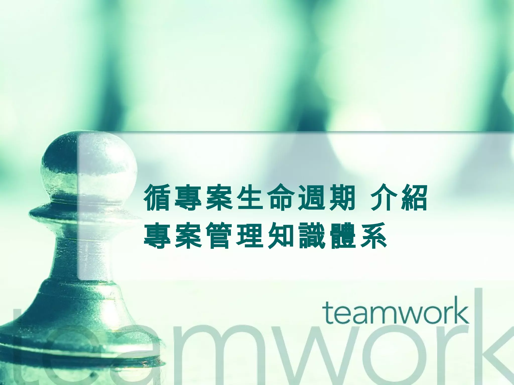 循專案生命週期 介紹 專案管理知識體系 