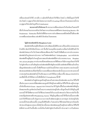 27


เปลี่ ยนแปลงต่ อไปได้ 4 ทางคื อ (1) จุ ลินทรี ยในดิ นนํา ไปใช้ประโยชน์ (2) พื ชชั้นสู ง นํา ไปใช้
                                               ์
ประโยชน์ (3) สู ญหายไปจากดินโดยขบวนการชะล้าง (Leaching) เนื่ องจากไนเตรตละลายนํ้าง่าย
(4) สู ญหายไปจากดินในรู ปก๊าซ (Volatilization)
                ขบวนการสร้ างไนโตรเจน คือ ขบวนการเปลี่ยนแปลงจากไนไตรท์และไนเตรตให้
เป็ นไนโตรเจนในบรรยากาศใหม่ เกิดโดยการกระทําของแบคทีเรี ยพวก Denitrifying Bacteria เช่น
Pseudomonas Thiobacillus ซึ่ งเกิดในที่ที่อบอากาศ การดํารงชีพของแบคทีเรี ยชนิดนี้ ไม่ตองอาศัย
                                           ั                                             ้
อากาศเป็ นแหล่งออกซิเจน แต่อาศัยไนไตรท์และไนเตรตแทน

           วัฏจักรของฟอสฟอรัส (Phosphorus Cycle)
           ฟอสฟอรัสเป็ นธาตุที่จาเป็ นต่อการดํารงชีพของสิ่ งมีชีวิต เพราะเป็ นองค์ประกอบของกรด
                                  ํ
นิ วคลี อิก ฟอสโฟไลปิ ดหรื อของ ATP ซึ่ ง เป็ นโมเลกุลที่ สะสมพลัง งานที่ พบในสิ่ งมี ชีวิตทัวไป
                                                                                             ่
ฟอสฟอรั สพบมากในโปรโตพลาสซึ มของพืชและสัตว์ โดยทัวไปพืชต้องการสารประกอบของ
                                                                       ่
ฟอสฟอรัสในรู ปของสารประกอบ “ออร์ โทฟอสเฟตอิออน” (Orthophosphate ion) แหล่งสะสม
ฟอสเฟตที่ใหญ่ที่สุดในโลกอยู่ในสภาพของหิ นฟอสเฟตที่มีสารประกอบของ Ferric Phosphate
และ calcium phosphate สารประกอบทั้งสองชนิดจะละลายได้นอยมาก จึงมีการหมุนเวียนนําไปใช้
                                                                         ้
ในวัฏจักรช้ามาก แต่ในปั จจุบนแหล่งฟอสเฟตที่สําคัญอีกแหล่งคือ ผงซักฟอกที่ใช้ตามบ้านเรื อน
                                ั
เมือถูกปล่อยลงท่อระบายนํ้า นํ้าเสี ยก็ไหลมารวมกันในแม่น้ าลําธาร คลอง ทะเลสาบ และปากแม่น้ า
                                                                  ํ                              ํ
ฟองของผงซักฟอกจะเป็ นตัวกีดกั้นการแลกเปลี่ยนออกซิ เจนของผิวนํ้าและบรรยากาศ นอกจากนี้
การสะสมตัวของฟอสเฟตในนํ้าในปริ มาณมาก จะทําให้เกิดการเพิมมากขึ้น (Bloom) ของสาหร่ าย
                                                                           ่
และพืชนํ้าอื่น ทําให้เกิดภาวะนํ้าเสี ยซึ่ งเรี ยกว่า Eutrophication ขึ้นได้
           ฟอสเฟตส่ วนใหญ่มกจะถูกตรึ งอยู่ในทะเลในสภาพของหิ นฟอสเฟต และนํามาใช้ไม่ได้
                              ั
                                                             ่
เป็ นจํานวนมาก นอกจากนี้ฟอสเฟตอาจจะถูกตรึ งให้อยูในสภาพที่นามาใช้ไม่ได้ เช่น อยูในกระดูก
                                                                             ํ          ่
หรื อหิ นขี้นกทะเล (Guano deposits) จนกว่าคนจะนํามาใช้ วัฏจักรนี้จึงเริ่ มจากฟอสฟอรัสที่อยูใน  ่
                                                                    ่
ลักษณะของหิ น ถูกกัดกร่ อนโดยนํ้าและกระแสลมปะปนอยูในดิน แล้วถูกนํ้าชะล้างให้อยูในรู ปที่  ่
ละลายนํ้าได้ ซึ่ งพืชสามารถนําไปใช้และถ่ายทอดไปในระบบนิ เวศตามห่ วงโซ่ อาหารต่อไป เมื่อ
                                                               ่
ตายลงก็ถูกย่อยสลายด้วย Phosphatizing bacteria ให้อยูในรู ปที่ละลายนํ้าได้ ซึ่ งส่ วนนี้นอกจากพืช
จะนํา ไปใช้โดยตรงแล้ว ยังถูกกระบวนการชะล้างพัดพาลงสู่ ทะเล มหาสมุทร ปะปนอยู่ในดิ น
ตะกอนทั้งในทะเลลึกและตื้น และถูกสิ่ งมีชีวิตเล็กๆ ในทะเลนํามาใช้ถ่ายทอดไปตามการกินจนถึง
                                                                               ่
ปลาขนาดใหญ่และนกทะเล เมื่อสัตว์พวกนี้ตายลง ฟอสเฟตจะถูกตรึ งอยูในสภาพที่นามาใช้ไม่ได้  ํ
ดังที่ กล่าวมาแล้วในเบื้ องต้น จากนั้นก็จะเริ่ มต้นวัฏจักรใหม่อีกครั้ ง ประมาณว่า 20 ล้านตันของ
 