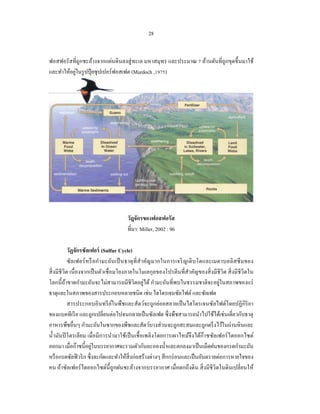 28


ฟอสฟอรัสที่ถูกชะล้างจากแผ่นดินลงสู่ ทะเล มหาสมุทร และประมาณ 7 ล้านตันที่ถูกขุดขึ้นมาใช้
            ่
และทําให้อยูในรู ปปุ๋ ยซุปเปอร์ฟอสเฟต (Murdoch ,1975)




                                      วัฎจักรของฟอสฟอรัส
                                      ที่มา: Miller, 2002 : 96

             วัฏจักรซัลเฟอร์ (Sulfur Cycle)
             ซัลเฟอร์ หรื อกํา มะถัน เป็ นธาตุ ที่ สํา คัญมากในการเจริ ญเติ บโตและเมตาบอลิ สซึ มของ
สิ่ งมีชีวิต เนื่ องจากเป็ นตัวเชื่ อมโยงภายในโมเลกุลของโปรตีนที่สําคัญของสิ่ งมีชีวิต สิ่ งมีชีวิตใน
โลกนี้ ถาขาดกํามะถันจะไม่สามารถมีชีวิตอยูได้ กํามะถันที่พบในธรรมชาติจะอยู่ในสภาพของแร่
           ้                                           ่
ธาตุและในสภาพของสารประกอบหลายชนิด เช่น ไฮโดรเจนซัลไฟด์ และซัลเฟต
             สารประกอบอินทรี ยในพืชและสัตว์จะถูกย่อยสลายเป็ นไฮโดรเจนซัลไฟด์โดยปฏิ กิริยา
                                     ์
ของแบคทีเรี ย และถูกเปลี่ยนต่อไปจนกลายเป็ นซัลเฟต ซึ่ งพืชสามารถนําไปใช้ได้เช่นเดี่ยวกับธาตุ
อาหารพืชอื่นๆ กํามะถันในซากของพืชและสัตว์บางส่ วนจะถูกสะสมและถูกตรึ งไว้ในถ่านหิ นและ
นํ้ามันปิ โตรเลียม เมื่อมีการนํามาใช้เป็ นเชื้ อเพลิงโดยการเผาไหม้จึงได้ก๊าซซัลเฟอร์ ไดออกไซด์
                        ่
ออกมา เมื่อก๊าซนี้อยูในบรรยากาศจะรวมตัวกับละอองนํ้าและตกลงมาเป็ นเม็ดฝนของกรดกํามะถัน
หรื อกรดซัลฟิ วริ ก ซึ่งจะกัดและทําให้สิ่งก่อสร้างต่างๆ สึ กกร่ อนและเป็ นอันตรายต่อการหายใจของ
คน ถ้าซัลเฟอร์ ไดออกไซด์น้ ี ถูกฝนชะล้างจากบรรยากาศ เมื่อตกถึงดิน สิ่ งมีชีวิตในดินเปลี่ยนให้
 