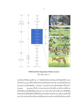 5




                    ระดับต่ างๆ ของสาร (Organization of Matter in nature)
                                    ที่มา: Miller, 2002 : 72

                   ั
และเริ่ มนํามาใช้กนประมาณปี ค.ศ. 1935 โดยนักนิเวศวิทยาชาวอังกฤษ แต่ในปั จจุบนนี้คาว่าระบบ
                                                                                  ั ํ
                                      ั
นิเวศ หรื อ Ecosystem ได้นามาใช้กนแพร่ หลายในเกือบทุกสาขาวิชา เช่น ระบบนิเวศป่ าไม้ (Forest
                              ํ
Ecosystem) ระบบนิ เวศทุ่งหญ้า (Grassland Ecosystem) และระบบนิ เวศเอสทูรีน หรื อปากอ่าว
(Estuarine         Ecosystem) เป็ นต้น ความหมายของระบบนิ เ วศนั้น หมายถึ ง ระบบที่ มี ค วาม
สลับซับซ้อนของสิ่ งมี ชีวิตที่ อยู่ร่วมกันและการกระทําร่ วมกัน ไม่ ว่า จะเป็ นระหว่างสิ่ งที่ มีชีวิต
ด้วยกันหรื อกับสิ่ งที่ไม่มีชีวิตในพื้นที่หรื ออาณาเขตหนึ่ งอาณาเขตใด และจะเป็ นระบบเปิ ด ทั้งนี้
เพราะในระบบนิ เวศหนึ่ งจะมี กิจกรรมเกิ ดขึ้นหลายอย่างและมี ความเกี่ ยวเนื่ องซึ่ งกันและกันทั้ง
 
