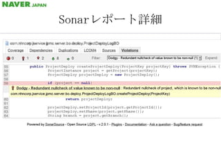Sonarレポート詳細