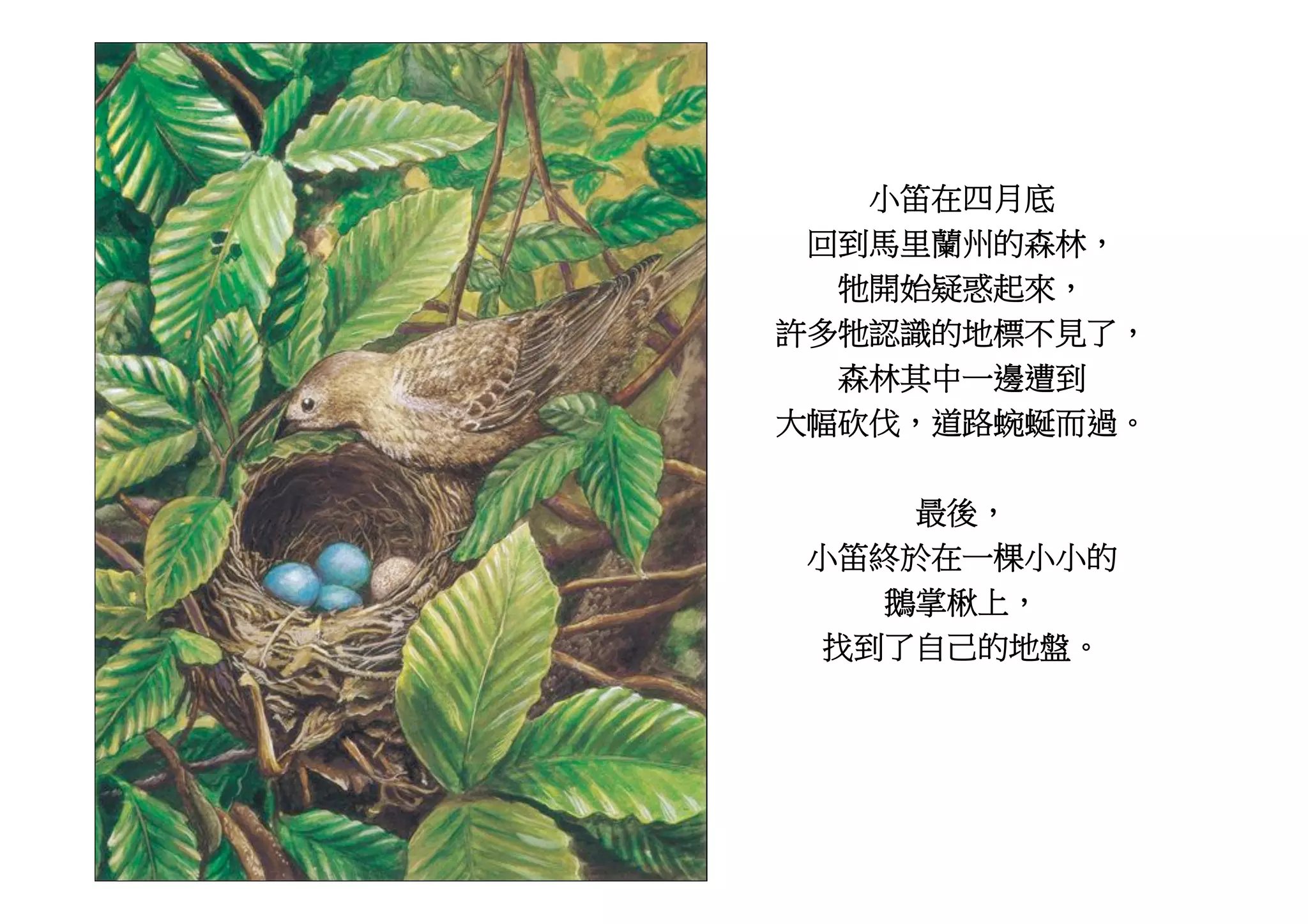 6R0:N½
 š1234'%}9
  •¾¿ÀÁÂ]9
Ã{•ÄÅ'ÆÇÈÉE9
  %}•Ê!ËÌ
vÍžŸ9ÎÏÐÑ§ÒJ

     pq9
 6RÓÔ0!566'
    ÕÖ×89
  ØEÙÚ'ÆÛJ
 