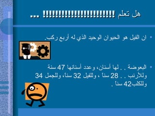 هل تعلم  !!!!!!!!!!!!!!!!!!!!!!! ... ان الفيل هو الحيوان الوحيد الذي له أربع ركب .  البعوضة  . .  لها أسنان، وعدد أسنانها  47  سنة وللأرنب  . . 28  سناً ، وللفيل  32  سناً، وللجمل  34  وللكلب 42  سناً  .  