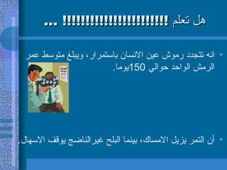 هل تعلم  !!!!!!!!!!!!!!!!!!!!!!! ... انه تتجدد رموش عين الانسان باستمرار، ويبلغ متوسط عمر الرمش الواحد حوالي  150 يوما .  أن التمر يزيل الامساك، بينما البلح غيرالناضج يوقف الاسهال .  