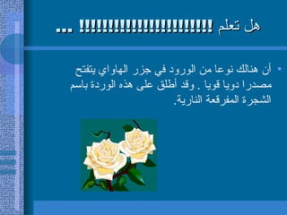 هل تعلم  !!!!!!!!!!!!!!!!!!!!!!! ... أن هنالك نوعا من الورود في جزر الهاواي يتفتح مصدرا دويا قويا  .  وقد أطلق على   هذه الوردة باسم الشجرة المفرقعة النارية . 