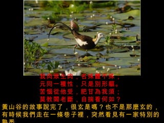 我肉眾生肉，名殊體不殊；  元同一種性，只是別形軀。  苦惱從他受，肥甘為我須；  莫教閻老斷，自揣看何如？  黃山谷的故事說完了，很玄是嗎？也不是那麼玄的，   有時候我們走在一條巷子裡，突然看見有一家特別的熟悉 