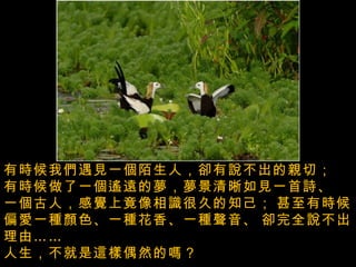 有時候我們遇見一個陌生人，卻有說不出的親切；   有時候做了一個遙遠的夢，夢景清晰如見一首詩、   一個古人，感覺上竟像相識很久的知己；   甚至有時候偏愛一種顏色、一種花香、一種聲音、   卻完全說不出理由 ……   人生，不就是這樣偶然的嗎？   