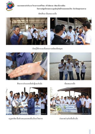 ก            ก                     F                         F
                       กก            ก               F   ก F

                                 ก               ก




                       F ก                   ก       ก




ก ก       กก   F                                                             ก




               ก กF          ก                                 F       F ก       ก
 