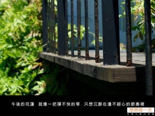 午後的花蓮  就像一把彈不快的琴  只想沉醉在漫不經心的節奏裡 