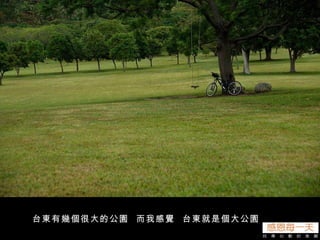 台東有幾個很大的公園  而我感覺  台東就是個大公園 