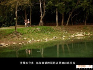 清晨的台東  就從幽靜的琵琶湖開始四處探索 