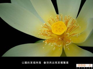 公園的某個角落  會突然出現某種驚喜 